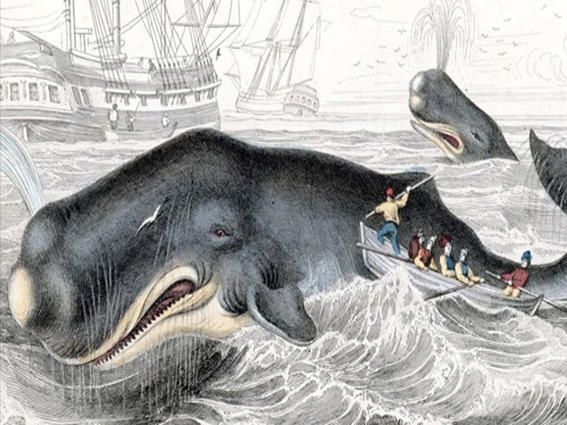 WHALING – Big Game Spear Phishing