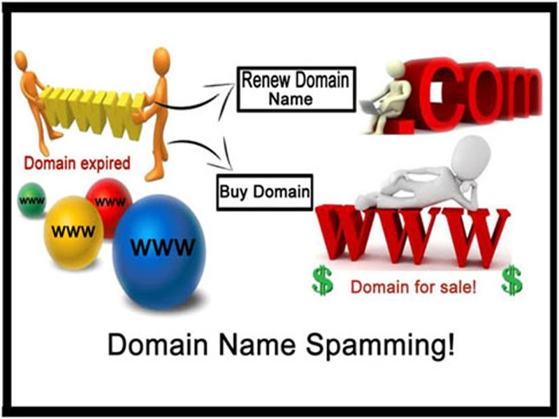 Domain name spaming