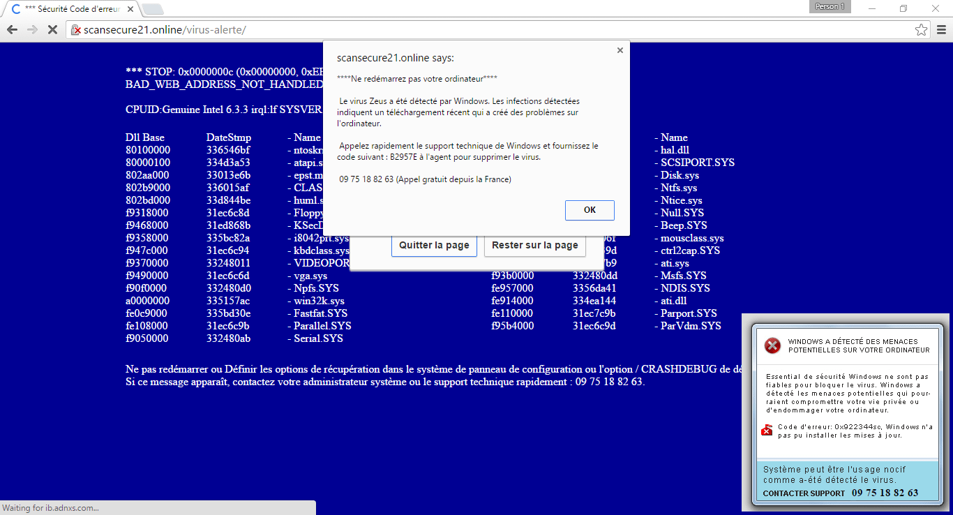 Tech Support Scams