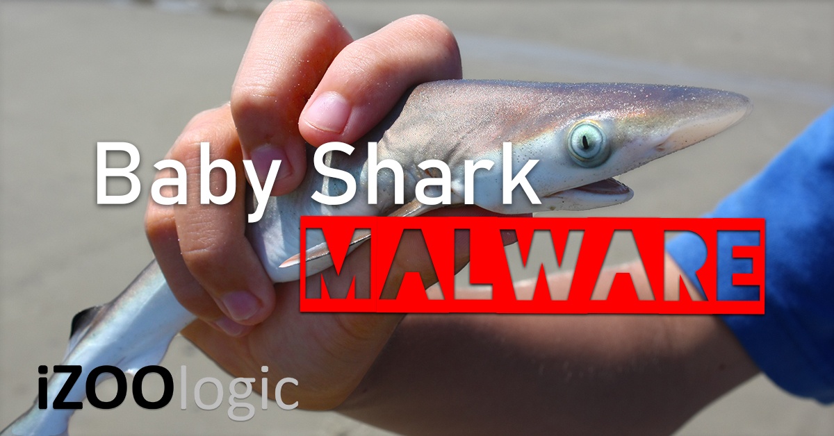babyshark baby shark malware phishing cryptocurrency