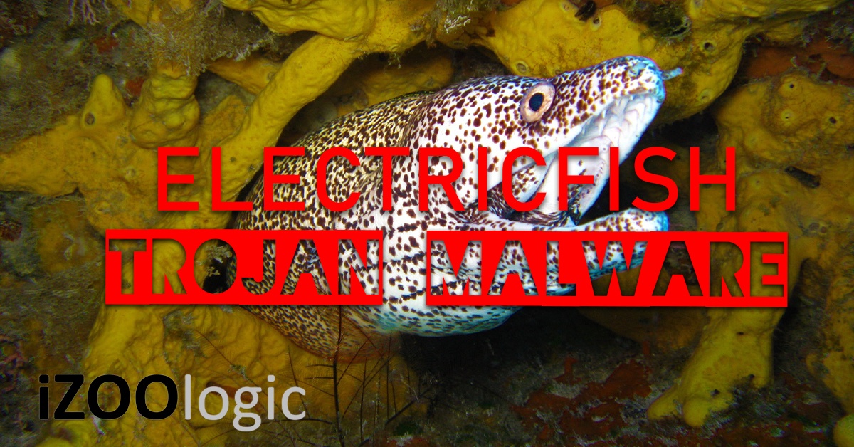 electricfish trojan malware