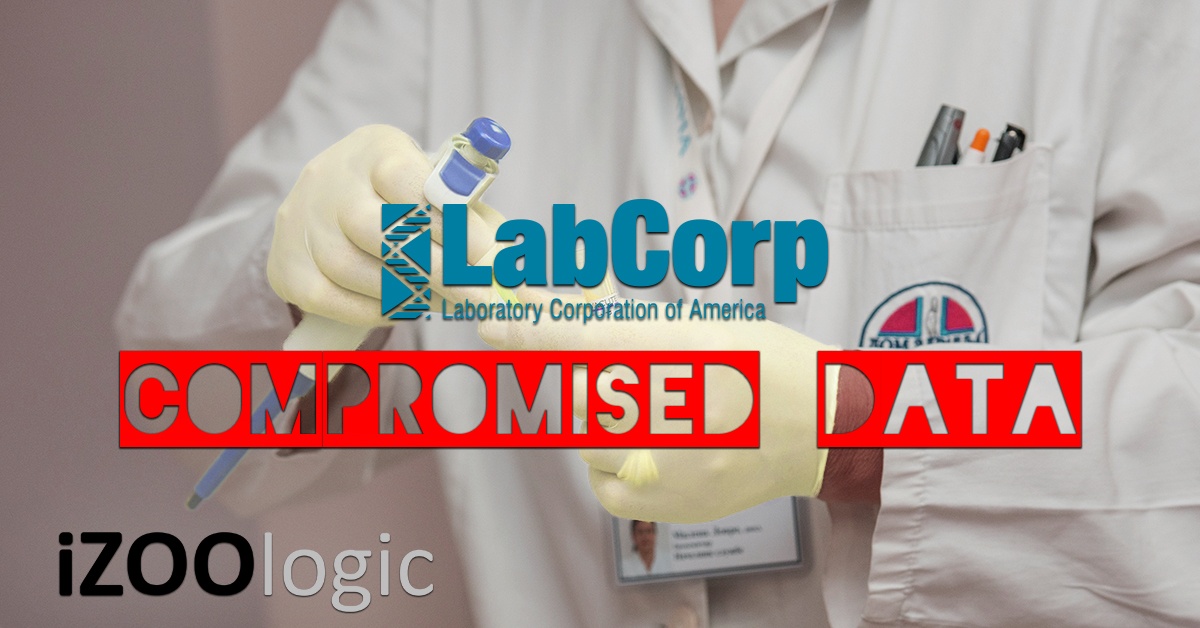 labcorp data breach compromised data leak