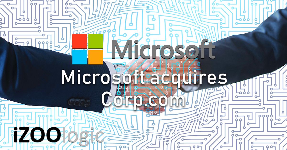 microsoft corp.com corpdotcom dns provider industry news domain name server domain name services