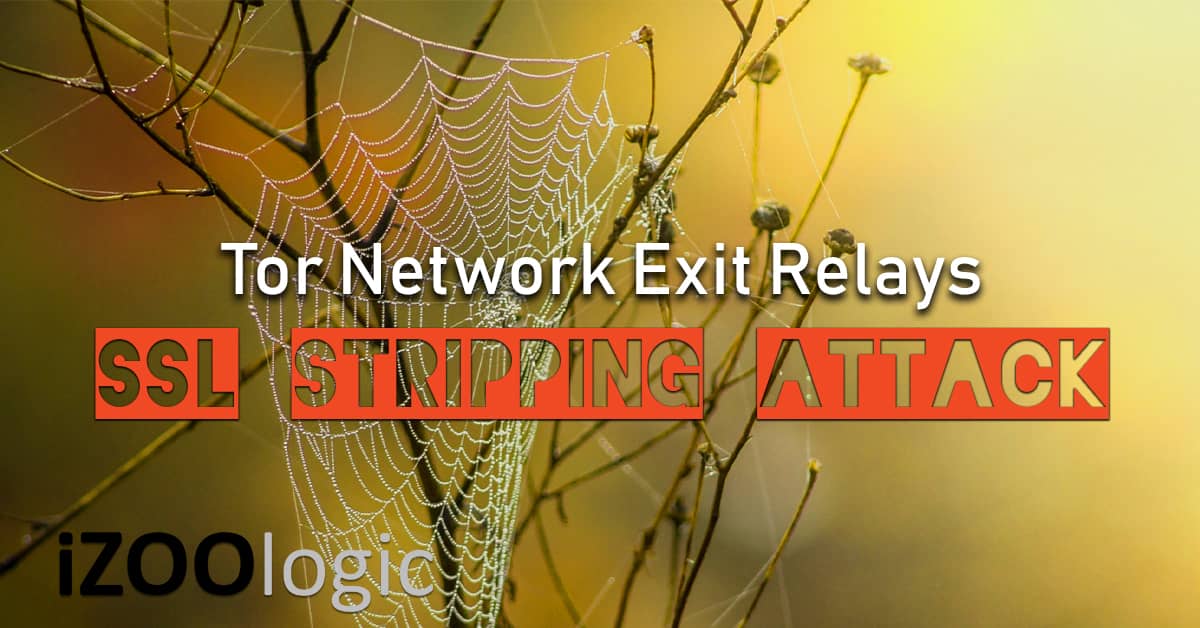 tor network relay ssl stripping attack dark web tor browser