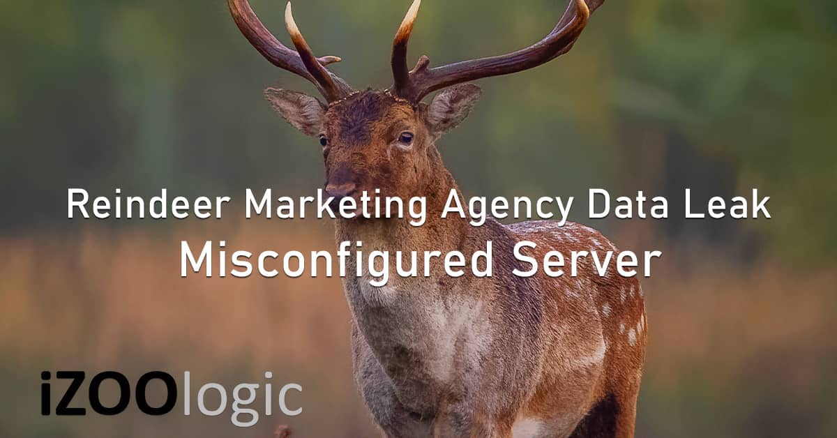 Reindeer marketing agency 300,000 customer personal data leaked misconfigured server