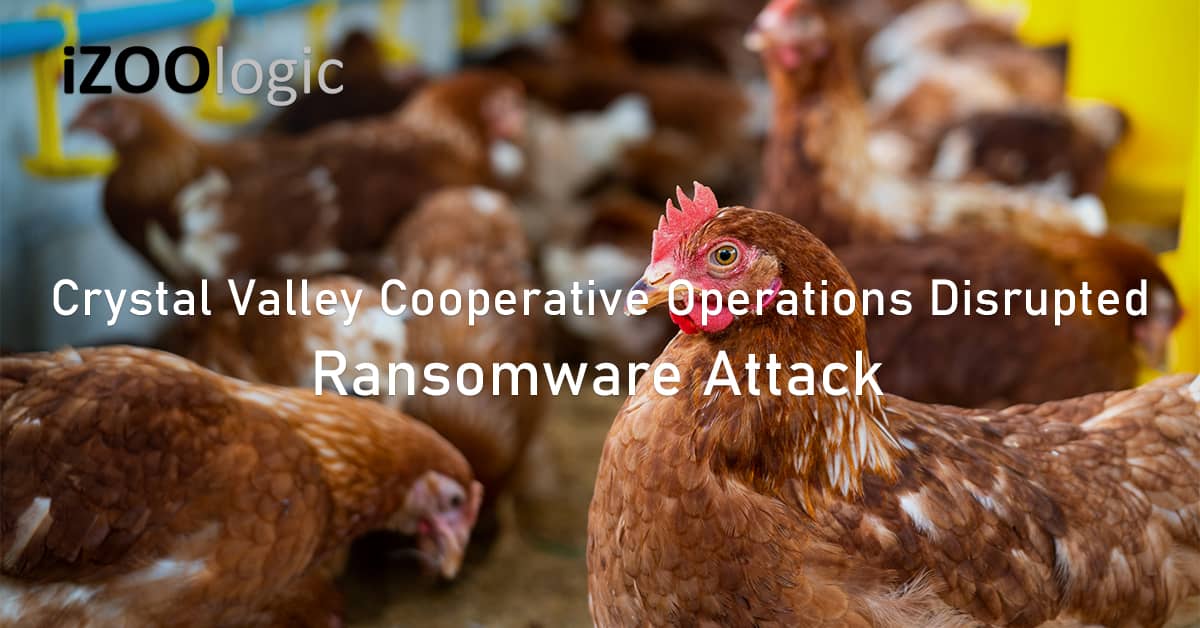 Daily operations disrupted ransomware attack Crystal Valley Cooperative