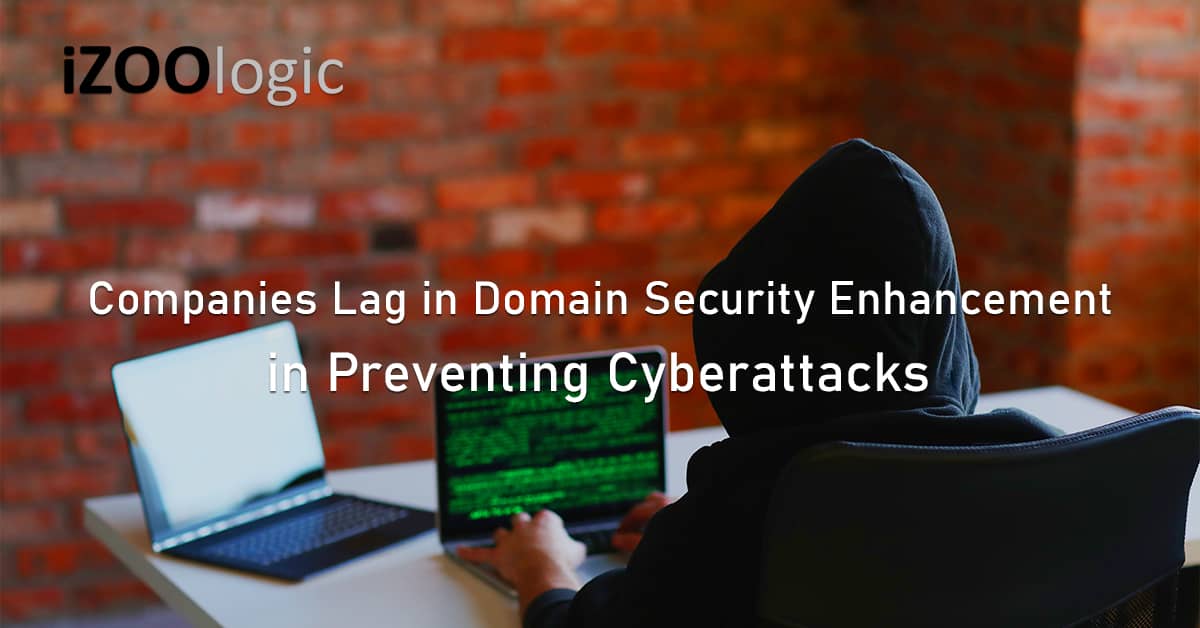 Large companies domain security enhancement cyberattacks DNS