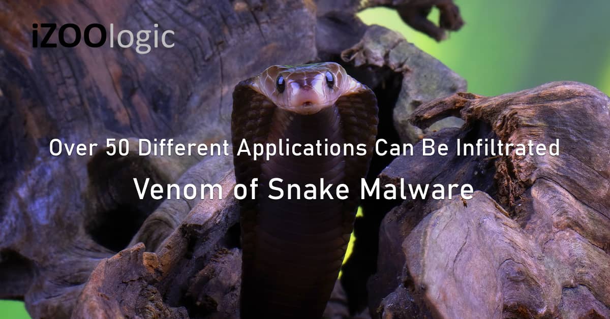 Apps Snake Malware trojan malware phishing data breach threat actors Firefox Chrome Safari Opera