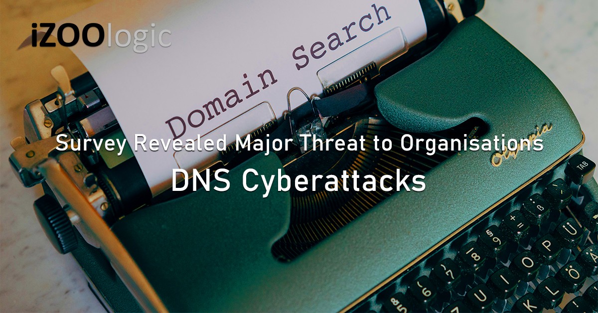 DNS Attacks Cyber threat domain name system DNSSEC Vulnerabilities