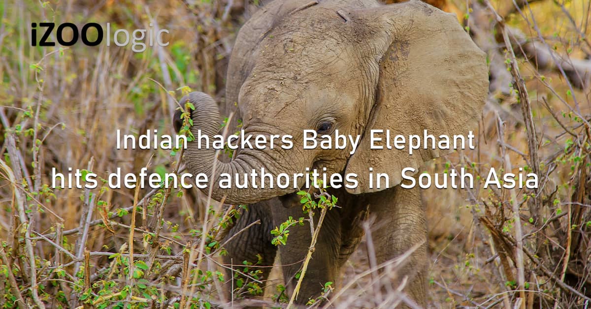 Indian Hackers Baby Elephant Defence South Asia You Xiang Threat Detection Cyberattack