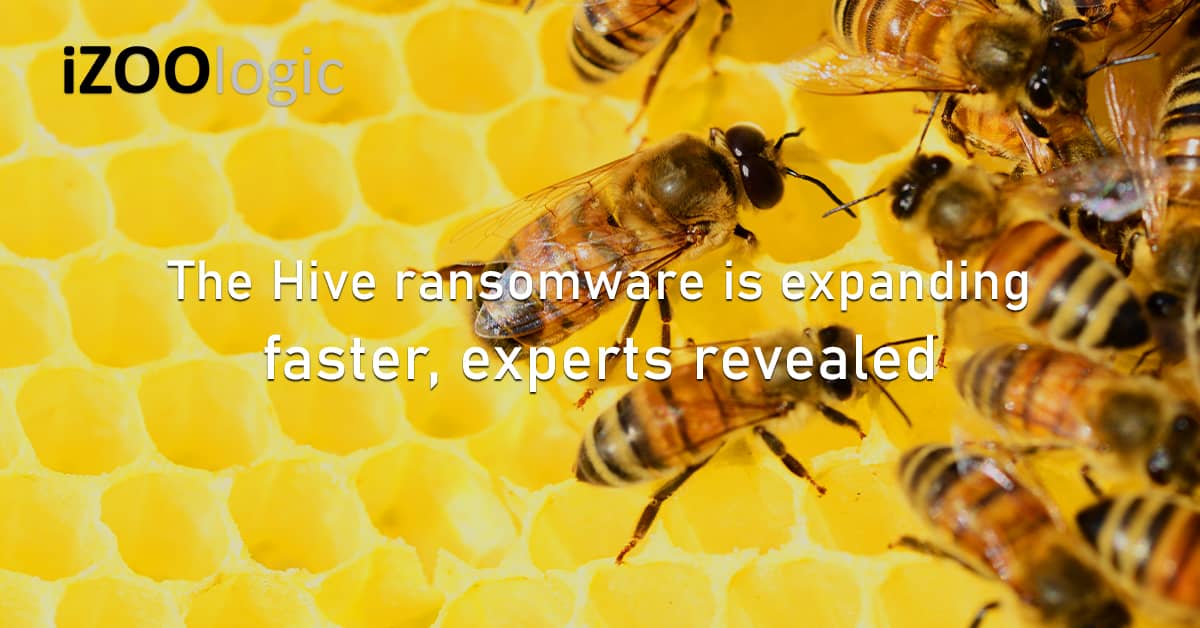 Hive Ransomware Ransomware as a Service Leak Site Dark Web Malware