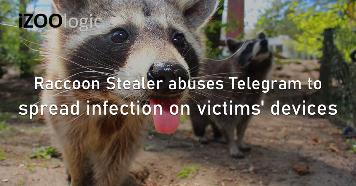 Raccoon Stealer Malware Telegram Infection Chain InfoStealer Social Media