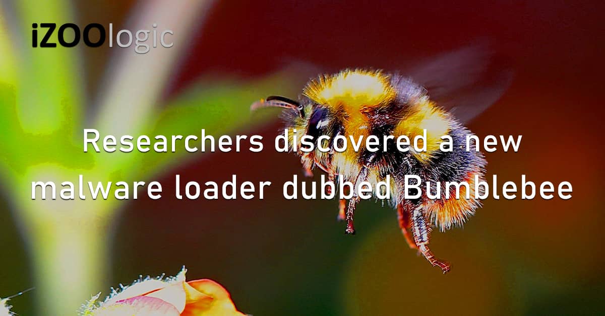 Cybersecurity Malware Loader Bumblebee BazarLoader Backdoor Threat Actors Cyberthreat