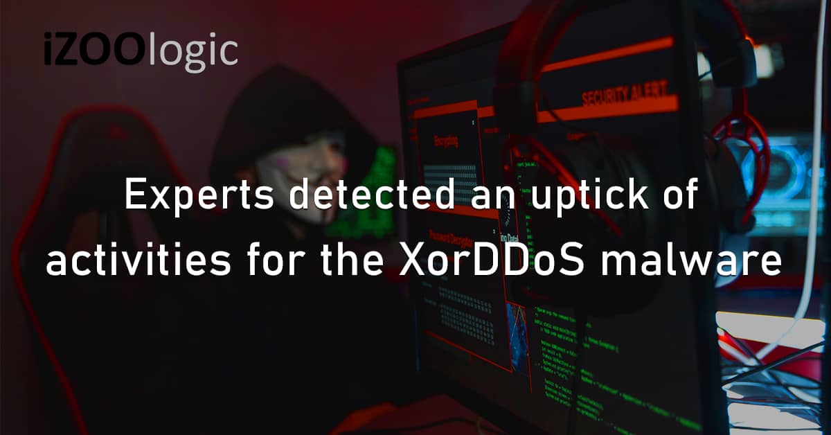 Experts Detected Uptick Activities XorDDoS Malware Botnet
