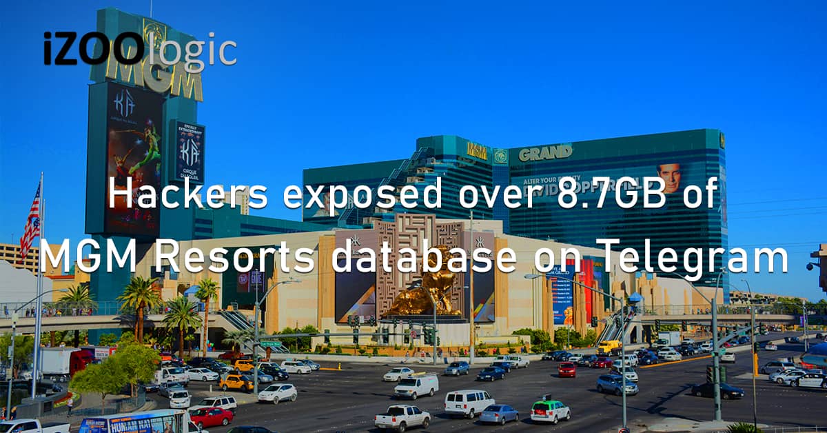 Hackers MGM Resorts Exposed Database Telegram Compromised Data Fraud Prevention
