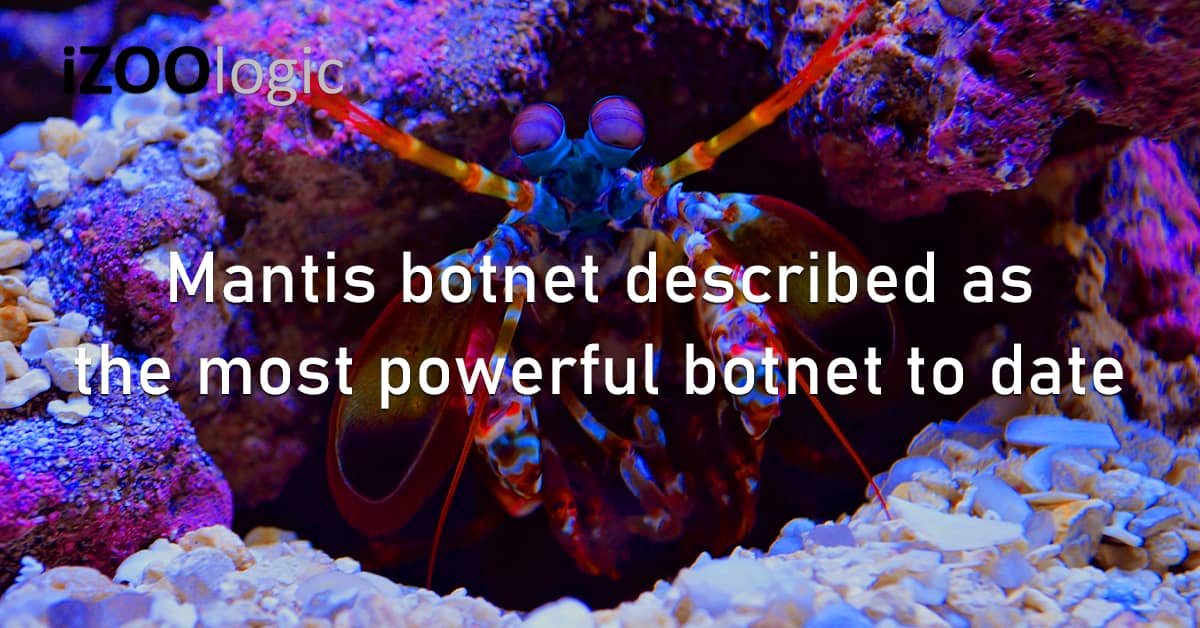 Mantis Botnet Powerful Botnet Malware DDoS Cybersecurity Cyberattack