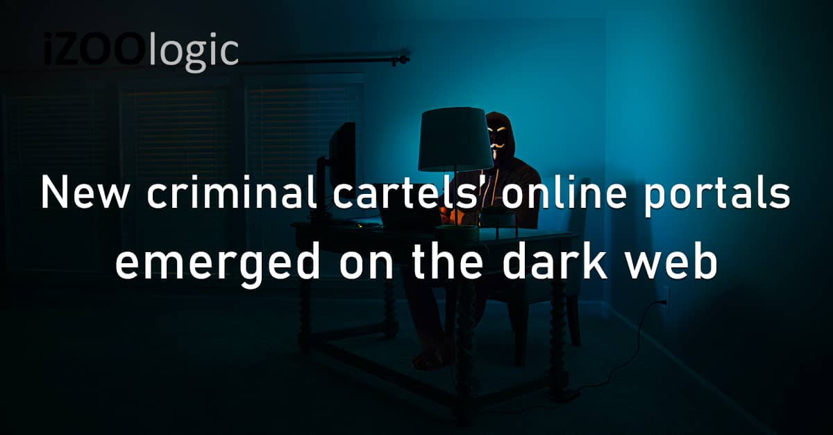 Criminal Cartels Online Portals Dark Web Mexico Cartel de Sinaloa Cartel Jalisco Nuevo Generation Black Market
