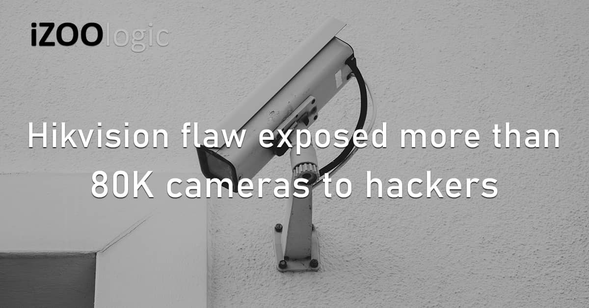 Hikvision Flaw Vulnerability Exploit Security Camera Hacker CCTV Botnet