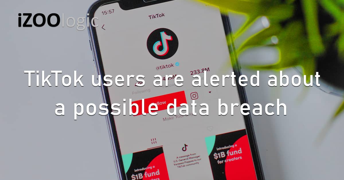 TikTok Data Breach Alibaba Cloud Social Media Fraud Prevention User Data