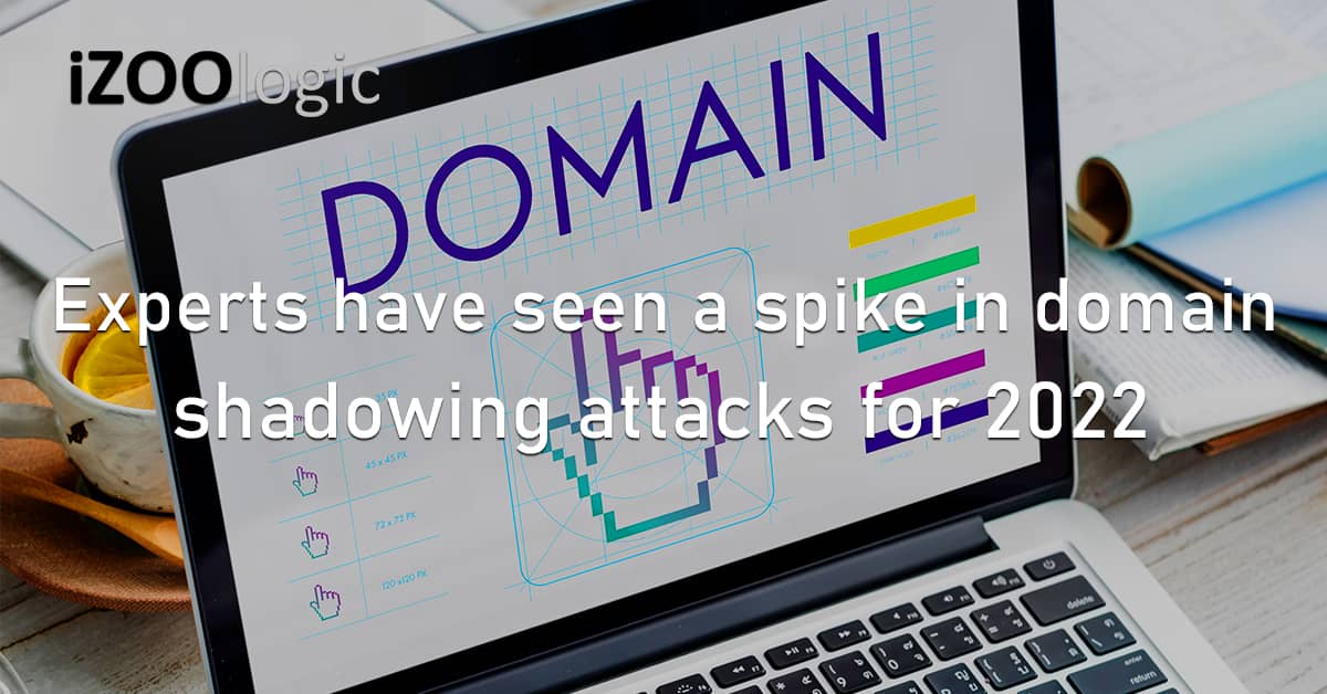 Experts Cybersecurity DNS Intelligence Domain Shadowing 2022