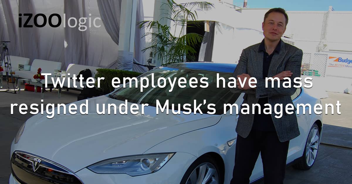 Twitter Employees Mass Resignation Elon Musk Management Social Media