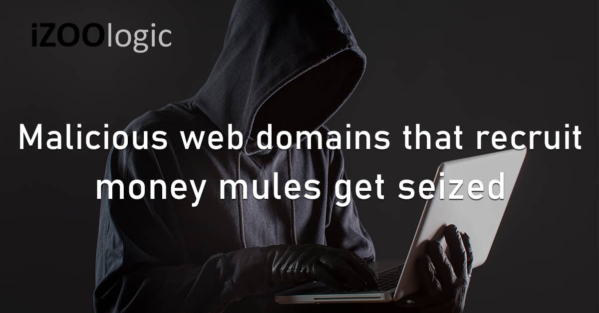 Malicious Web Domains Recruit Money Mules Laundering Seized Fraud Prevention