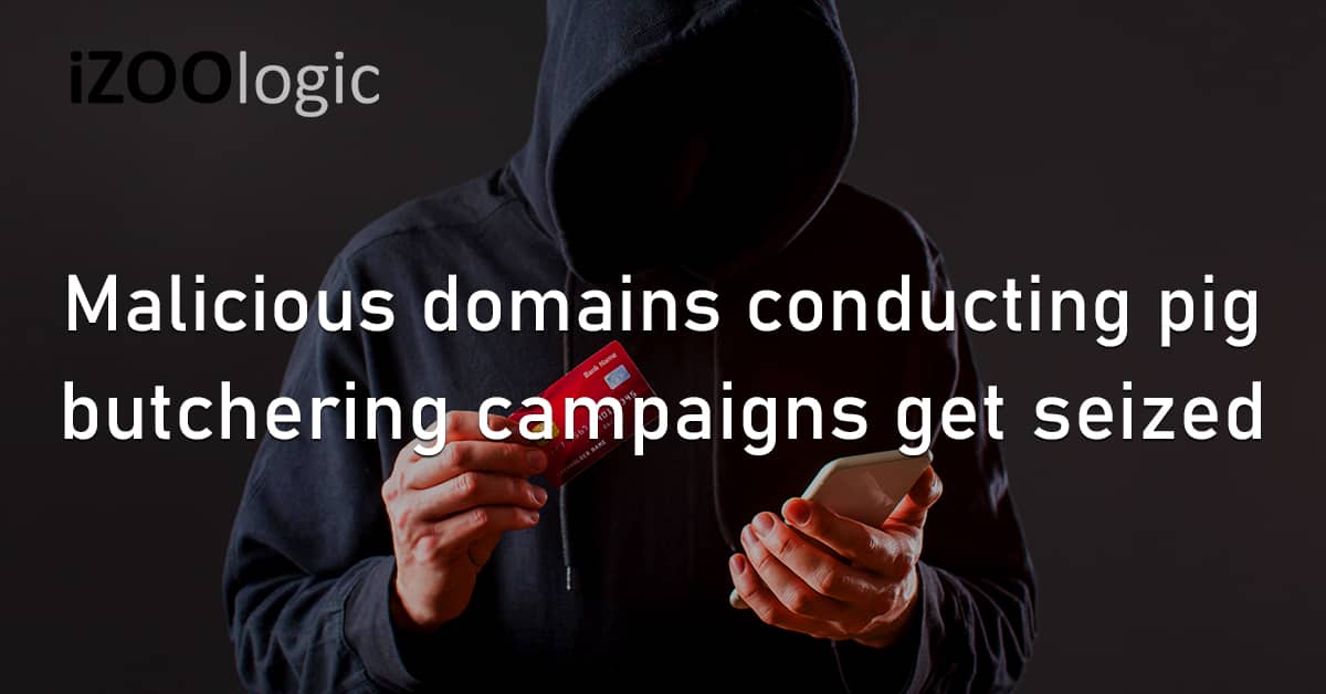 Malicious Domains DNS Pig Butchering Social Engineering Phishing Seizure