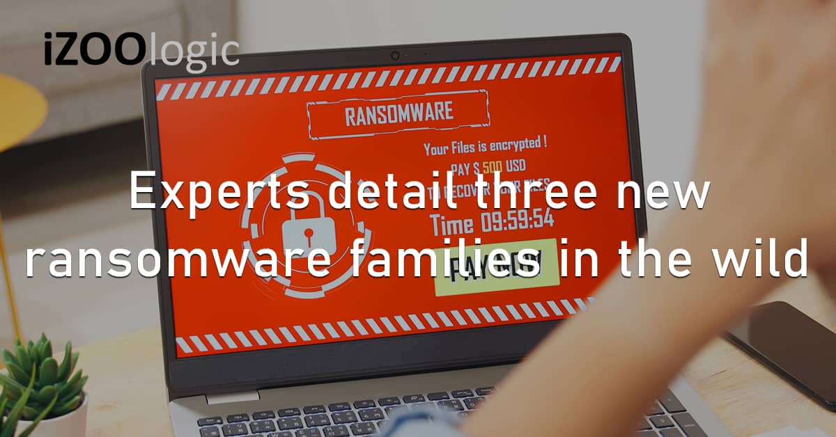 Security Experts Ransomware Families Aerst Vohuk Scarecrows