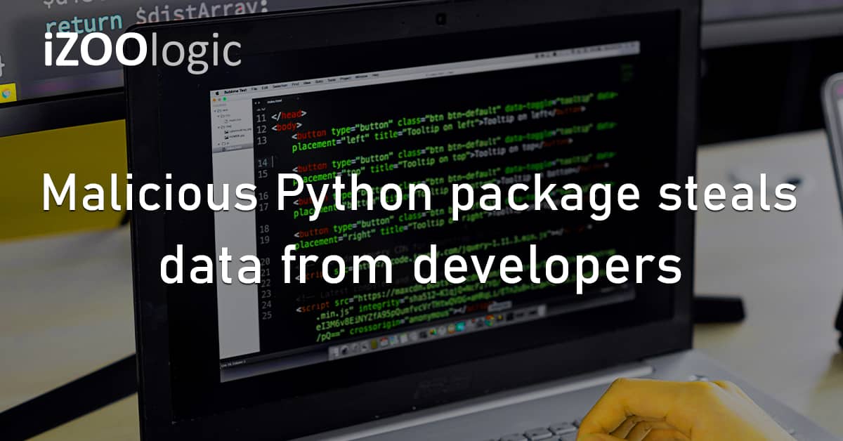 Malicious Code Python Package Data Stealer Developers