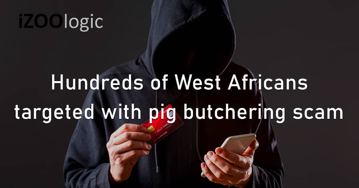 West Africa Pig Butchering Social Engineering Scam Fraud Prevention Financial Advisors