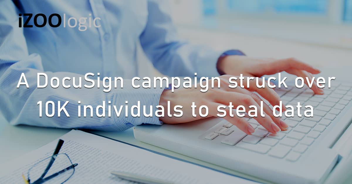 DocuSign Phishing Campaign Stolen Data Spoofing Fraud Prevention Fake Website
