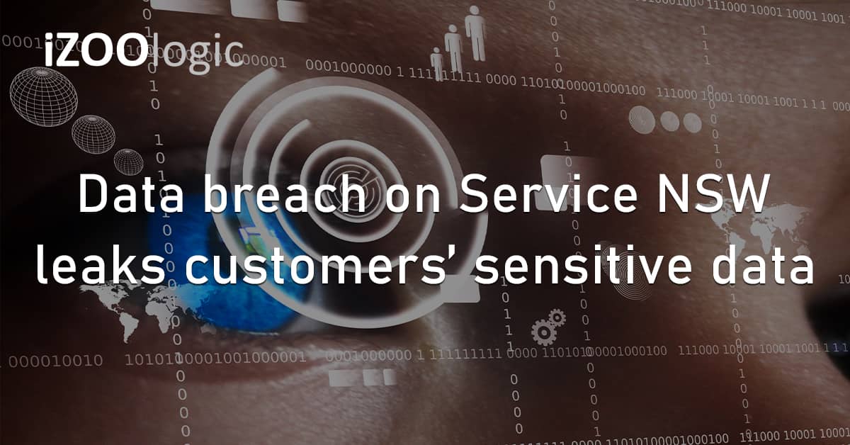 Data Breach Service NSW Australia Data Leak Customer Data Fraud Prevention