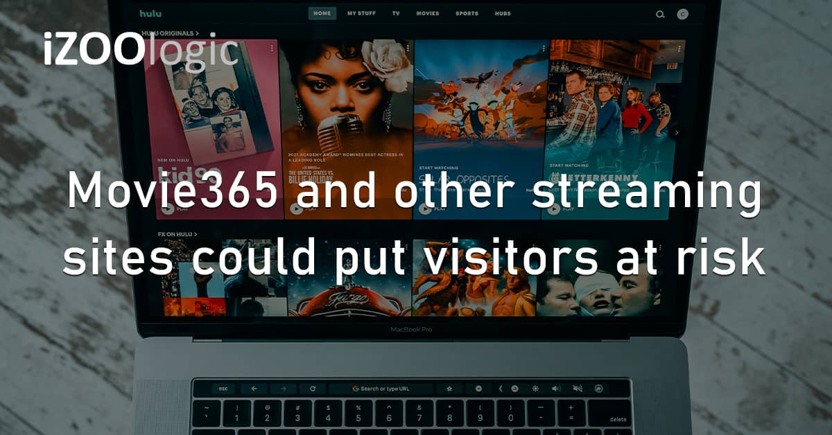 Movie365 Online Streaming Websites Digital Risk