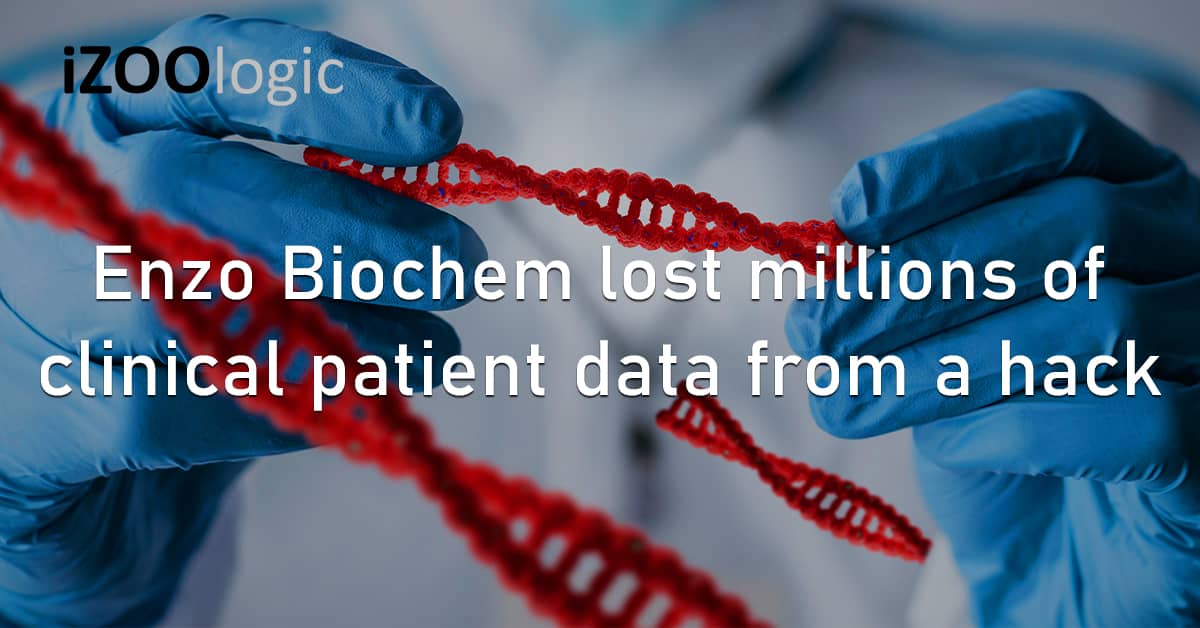 Enzo Biochem New York US Healthcare Clinic Patient Data DNS Hacked