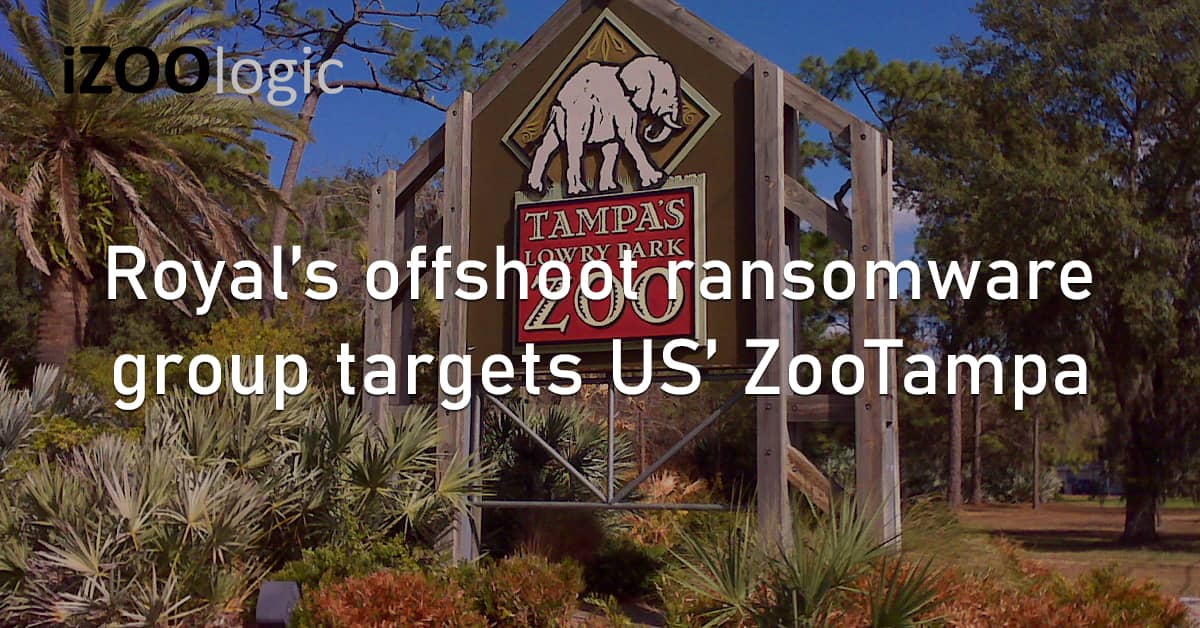 Royal Ransomware Threat Group US ZooTampa Cybercrime Data Breach