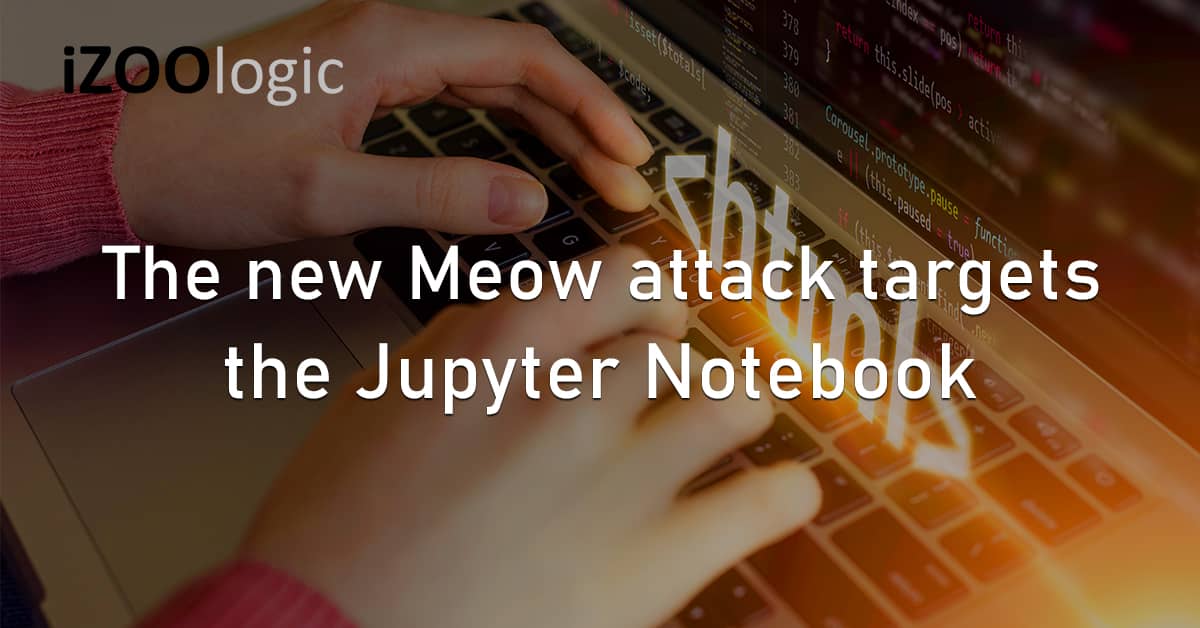 Meow Attack Cyberattack Open Source Jupyter Notebook