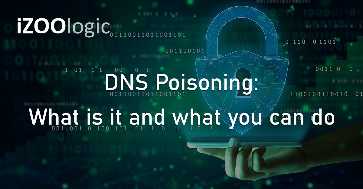 DNS Poisoning Domain Name Data Theft Cyber Threat