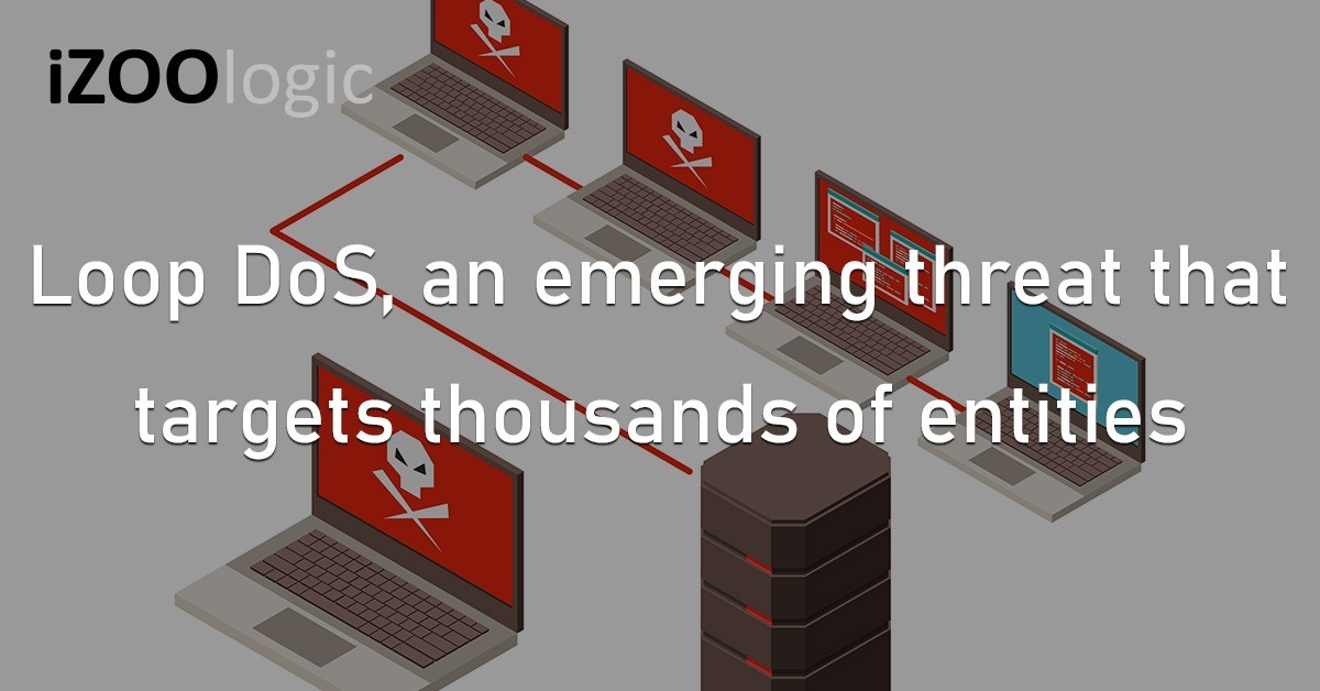 Loop DoS Denial of Service UDP IP Spoofing