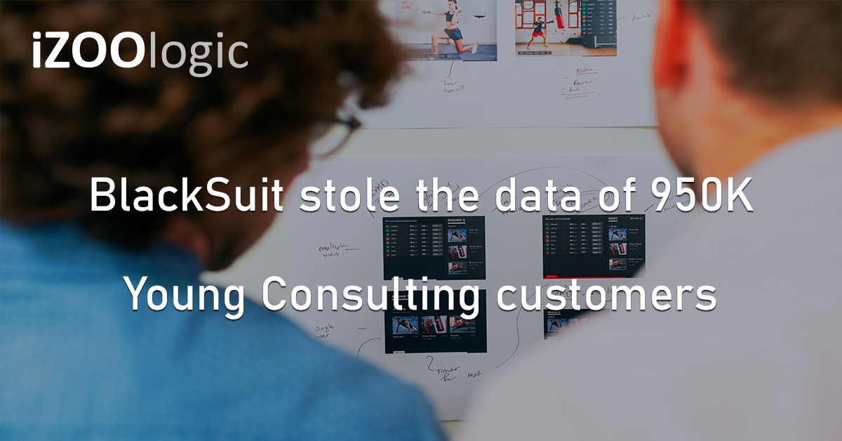 Young Consulting Software Consultancy Data Breach BlackSuit Ransomware