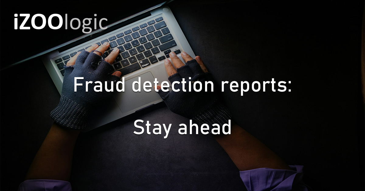 Fraud Detection Reports Financial Transactions Cyber Security Fraud Alert Potential Threats