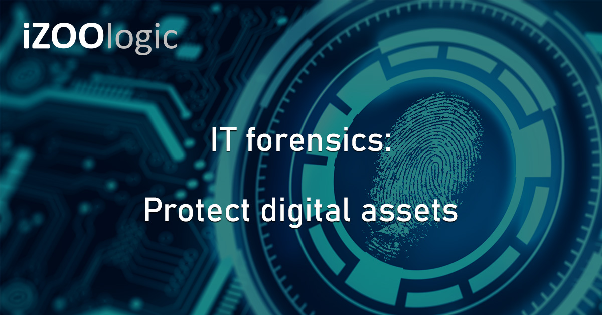 IT Forensics Digital Assets Cybersecurity Vulnerabilities