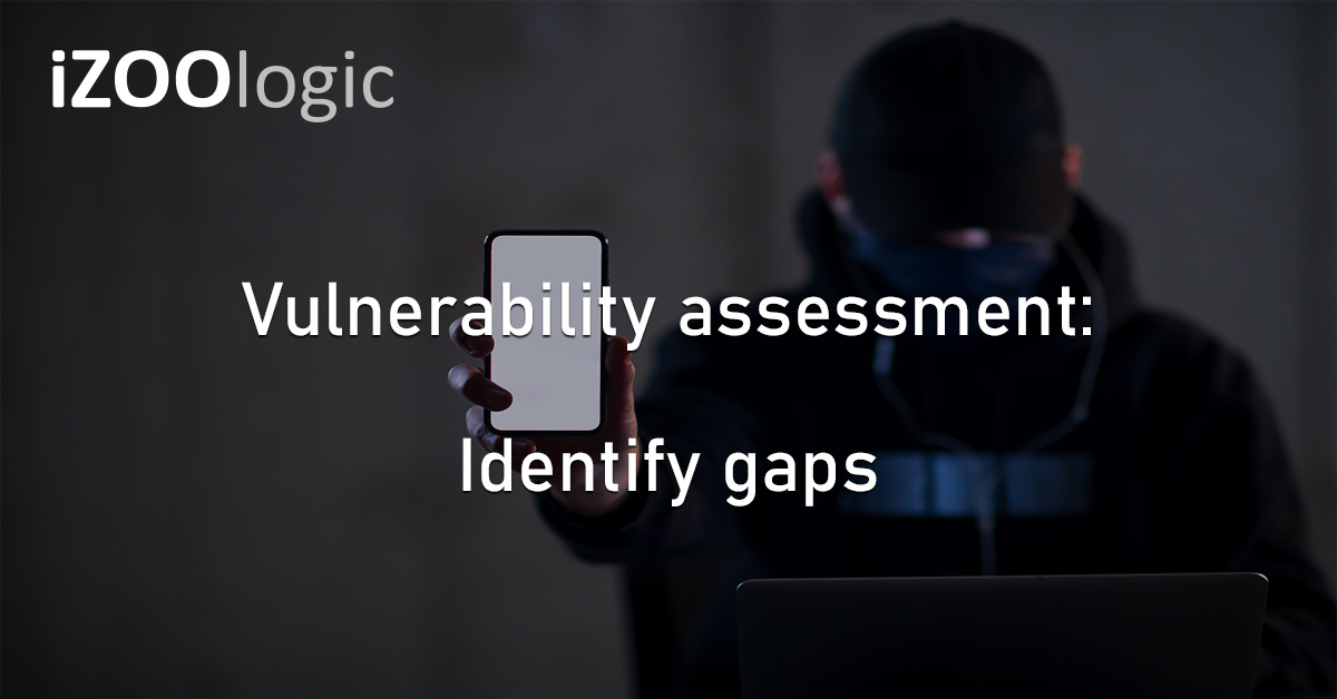 Vulnerability Assessment Cybersecurity Threat Landscape Security Infrastructure