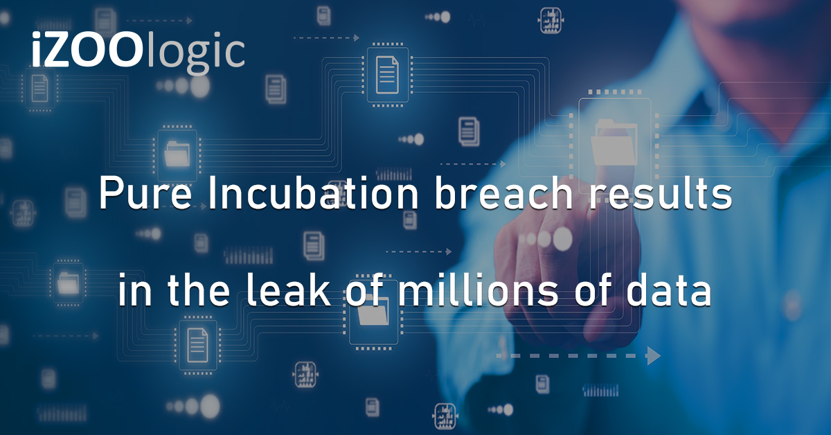 Pure Incubation Data Breach Leaked Data Krypton Zambie