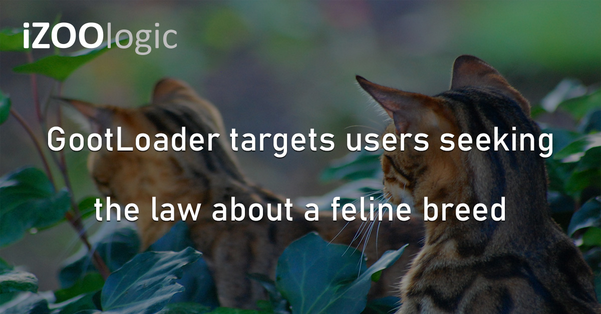 GootLoader Malware Bengal Cats Australia Cyberattack Hackers SEO Poisoning