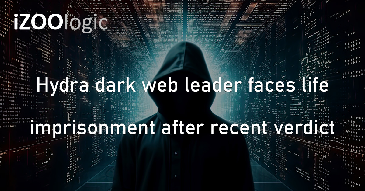 Hydra Dark Web Hackers Cybercriminal Life Imprisonment