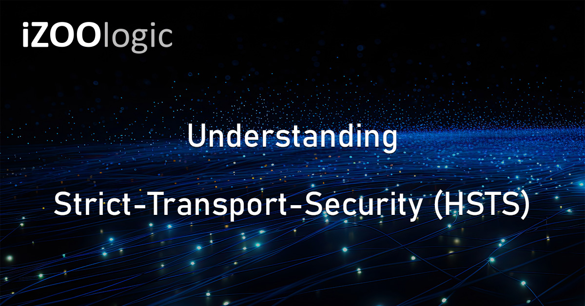 20250115 Understanding Strict-Transport-Security (HSTS)