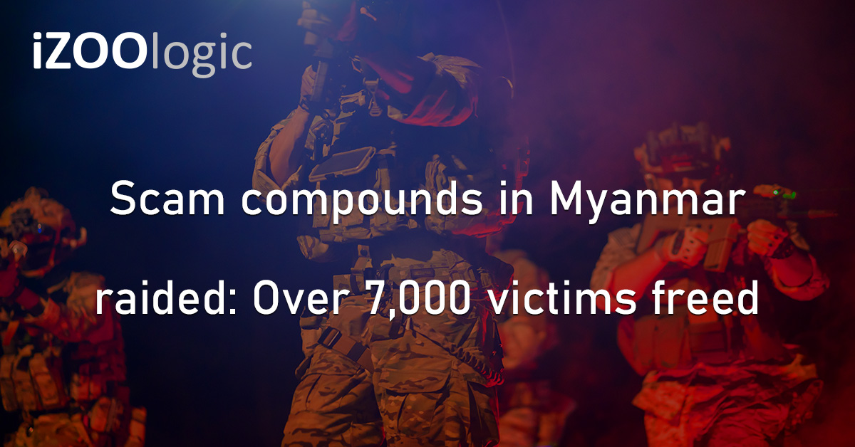 Scam Compounds Fraud Alert Asia Cybercrime