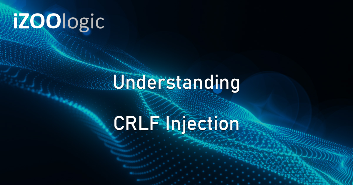 20250311 Understanding CRLF Injection