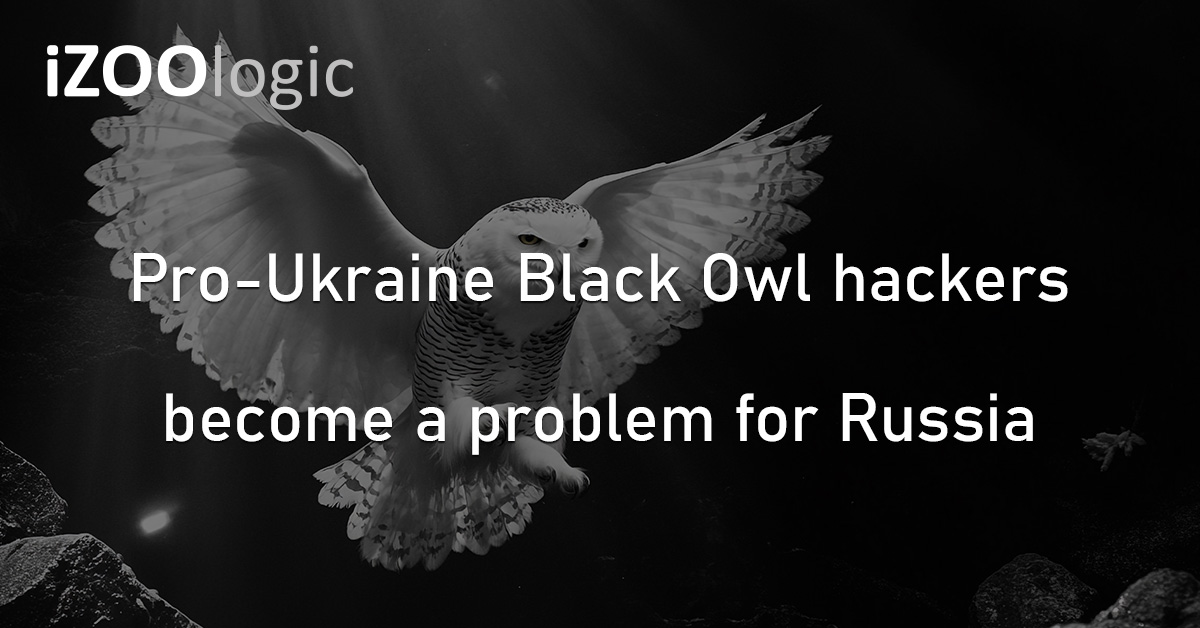 Black Owl Hackers Ukraine Russia Cyberattack